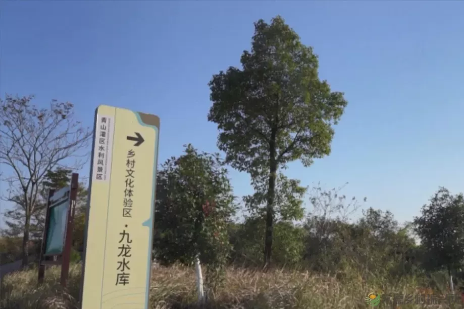 大美!临澧这地被评为省级水利风景区→(图17) 图片