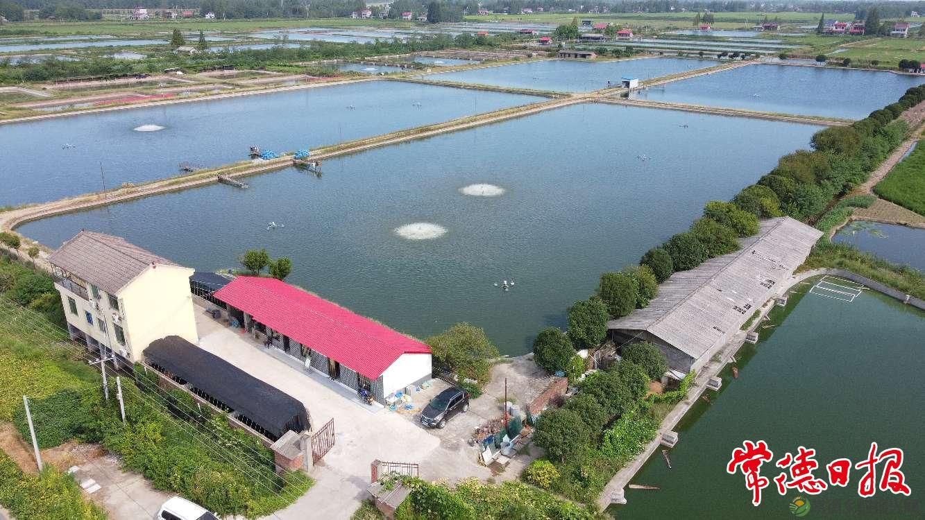 常德市甲鱼产业高质量发展论坛即将举办(图3)