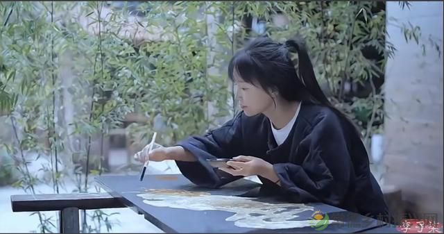 乡村振兴三农领域带头人 李子柒张一一白婳领衔