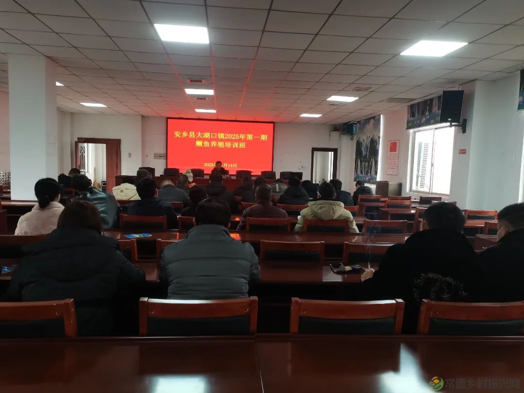 安乡县2025年第一期鳜鱼高效养殖技术培训班开班