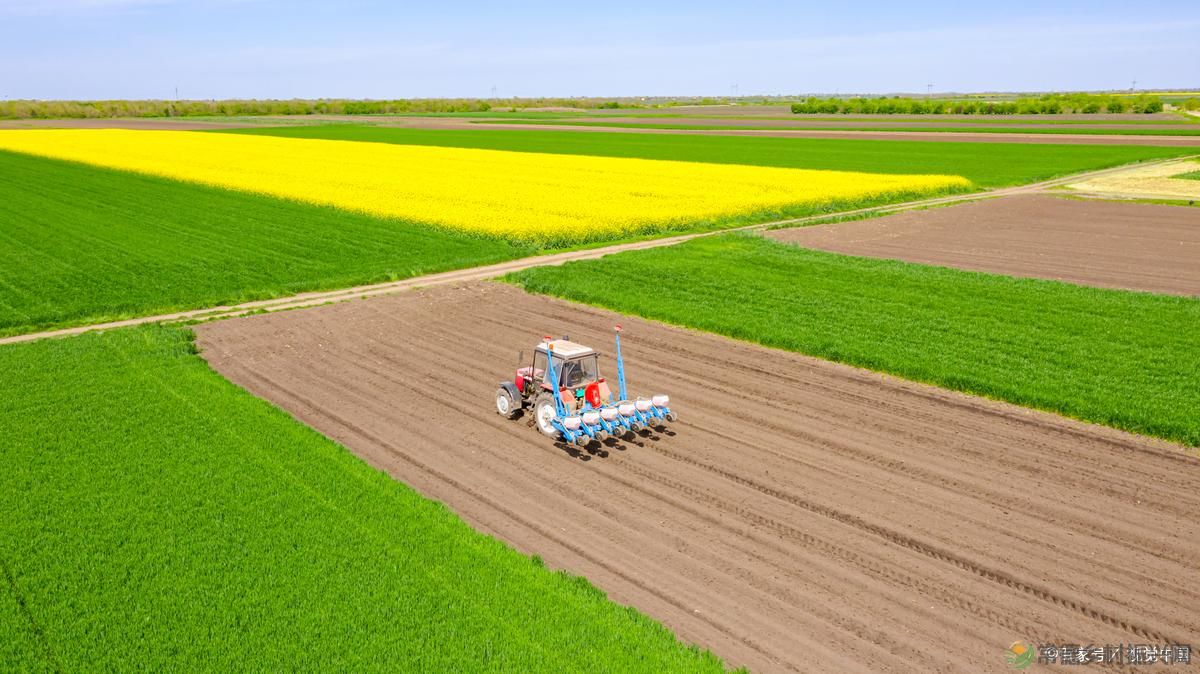 农业农村改革方向再次明确?2月起,统一安排三项政策,村村涉及(图2) 农业农村改革方向再次明确?2月起,统一安排三项政策,村村涉及(图2)