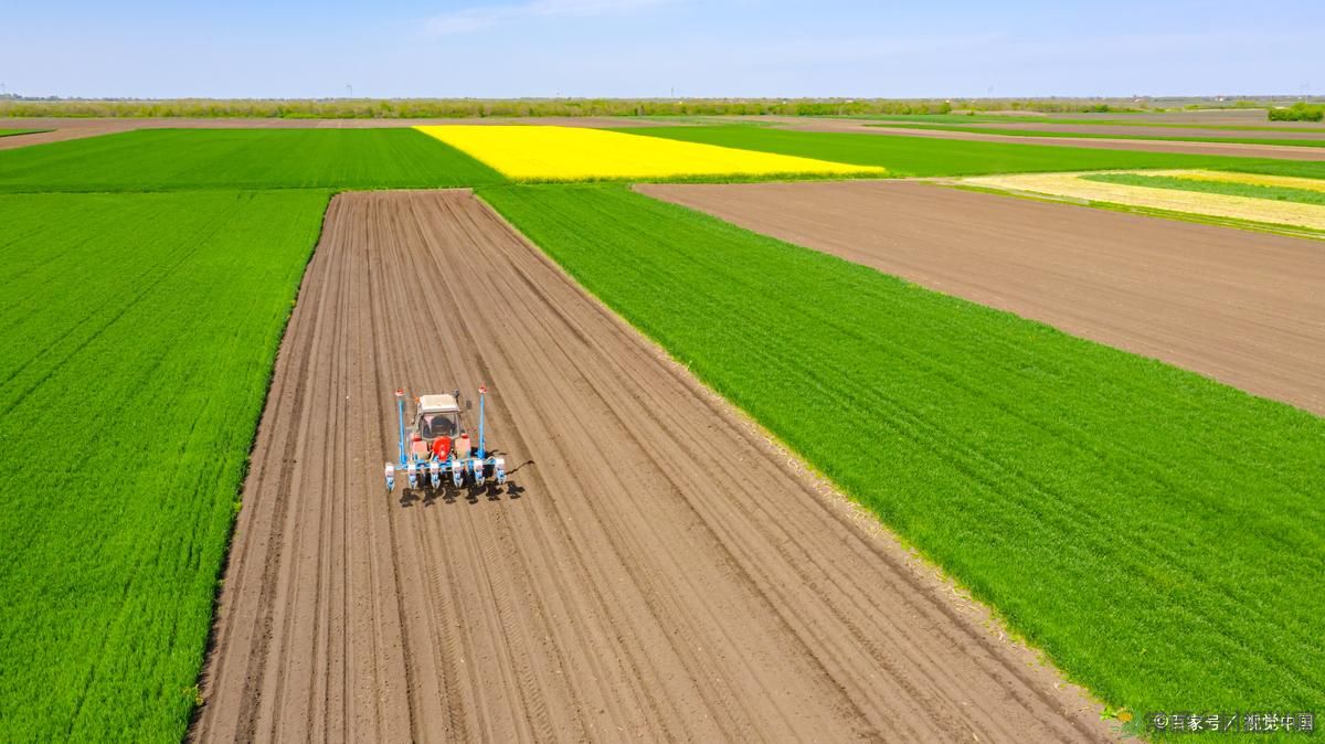 农业农村改革方向再次明确?2月起,统一安排三项政策,村村涉及(图3) 农业农村改革方向再次明确?2月起,统一安排三项政策,村村涉及(图3)