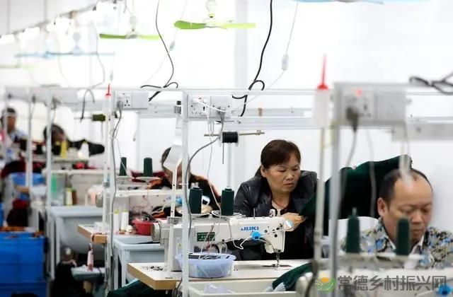 “三农”专家:湖南乡村振兴面临四大挑战(图2) “三农”专家:湖南乡村振兴面临四大挑战(图2)