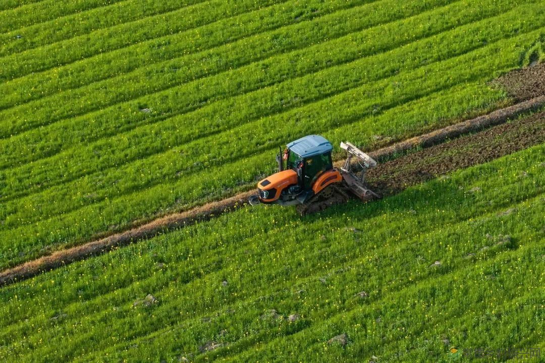 “三农”专家:湖南乡村振兴面临四大挑战(图3) “三农”专家:湖南乡村振兴面临四大挑战(图3)