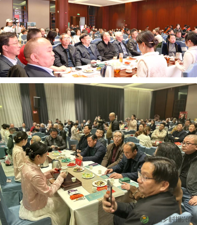 常德市茶文化促进会2024年总结表彰暨5周年庆典联谊会隆重举行(图15) 1740151340688.png