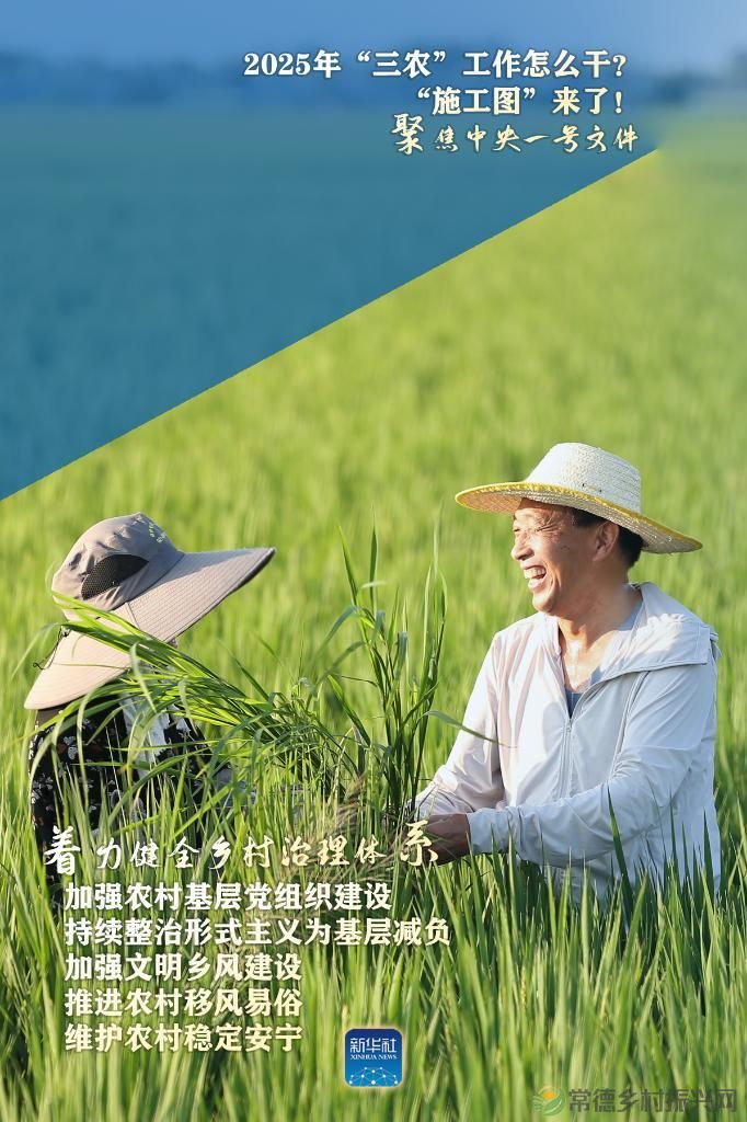 聚焦中央一号文件丨2025年“三农”工作怎么干?“施工图”来了!(图5) 聚焦中央一号文件丨2025年“三农”工作怎么干?“施工图”来了!(图5)