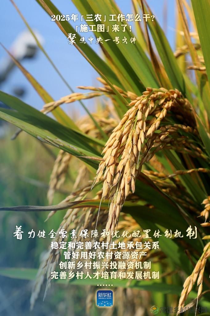 聚焦中央一号文件丨2025年“三农”工作怎么干?“施工图”来了!(图6) 聚焦中央一号文件丨2025年“三农”工作怎么干?“施工图”来了!(图6)