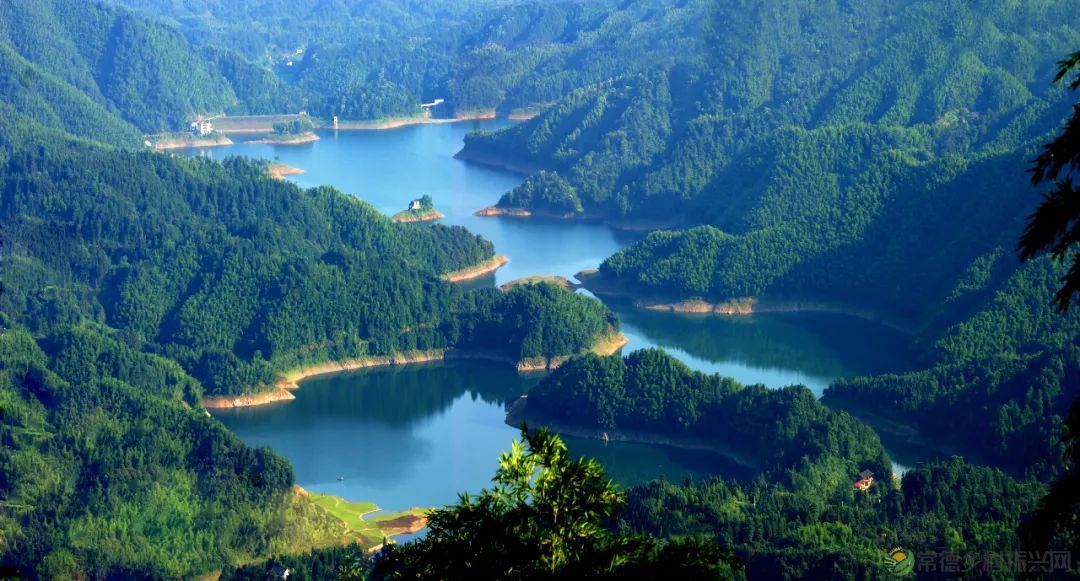 这里是沙坪 N次爱上它的理由