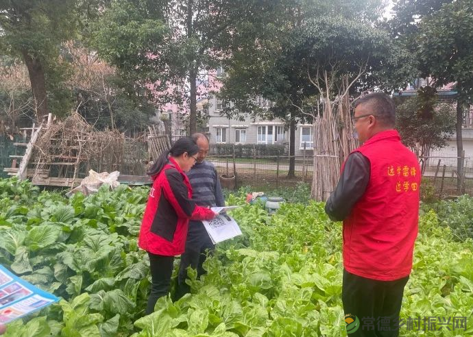 武陵:禁种铲毒正当时(图1) 图片