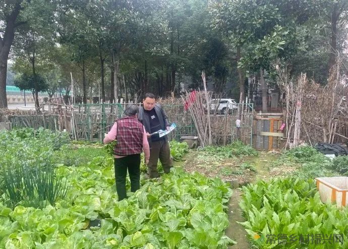 武陵:禁种铲毒正当时(图2) 图片