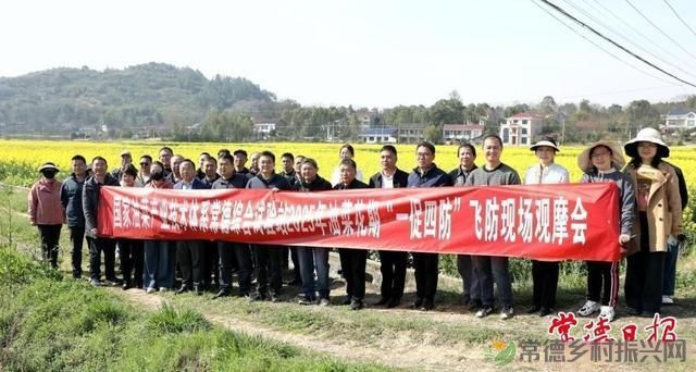 科技赋能油菜产业 “一促四防”为油菜稳产增收注入强动能(图4) 科技赋能油菜产业 “一促四防”为油菜稳产增收注入强动能(图4)