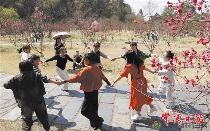 2025年桃花源文化旅游节即将启幕 欢迎五湖四海的朋友共赴桃花盛会(图5) 2025年桃花源文化旅游节即将启幕 欢迎五湖四海的朋友共赴桃花盛会(图5)