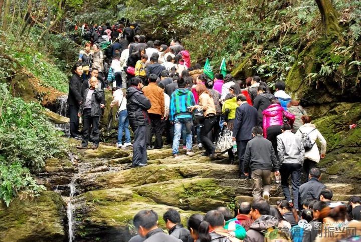 10年前我们一起走过的桃花源(图9) 图片