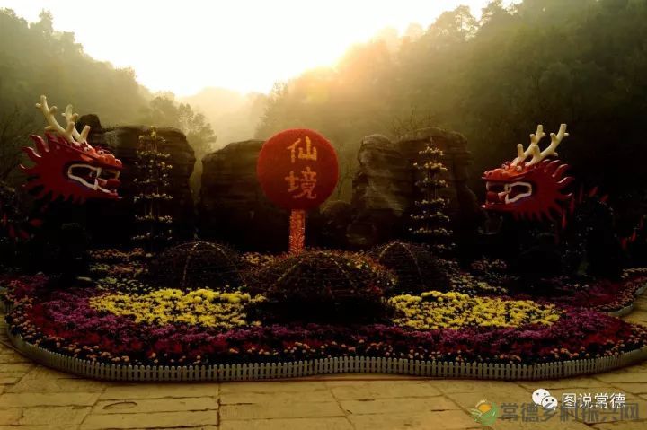 10年前我们一起走过的桃花源(图4) 图片