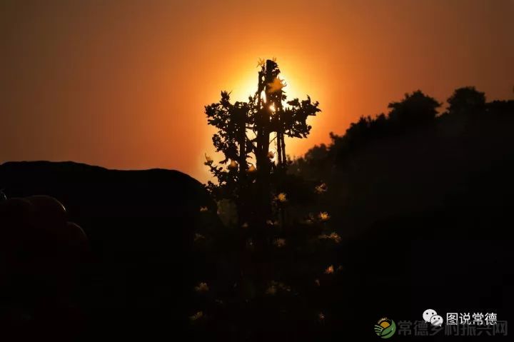 10年前我们一起走过的桃花源(图6) 图片