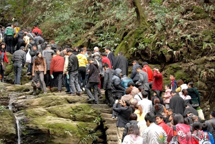 10年前我们一起走过的桃花源(图13) 图片