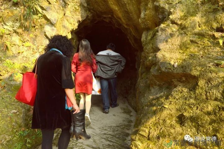 10年前我们一起走过的桃花源(图16) 图片