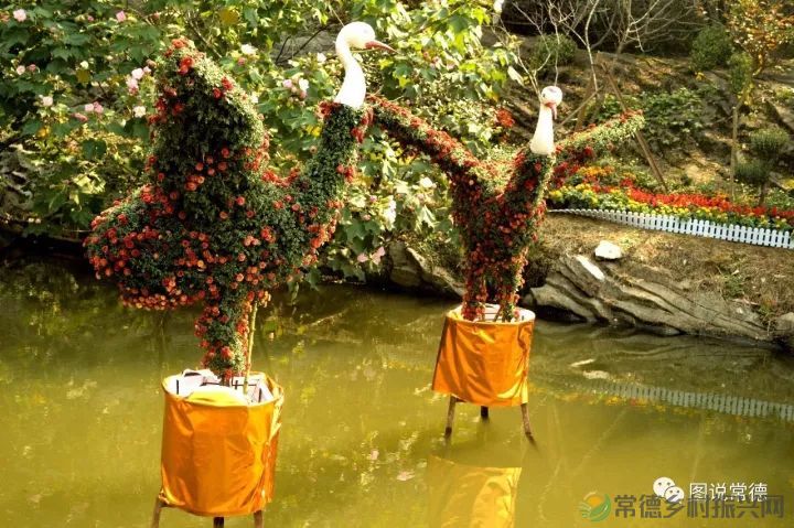 10年前我们一起走过的桃花源(图27) 图片