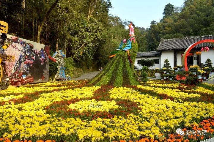 10年前我们一起走过的桃花源(图22) 图片