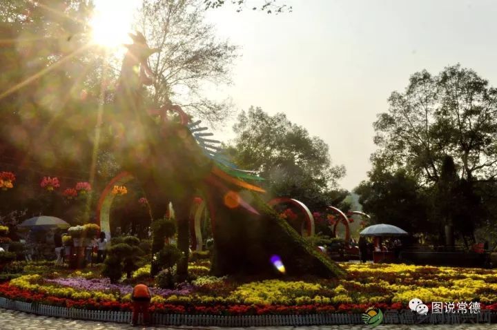 10年前我们一起走过的桃花源(图23) 图片