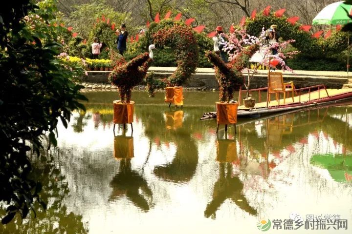 10年前我们一起走过的桃花源(图24) 图片