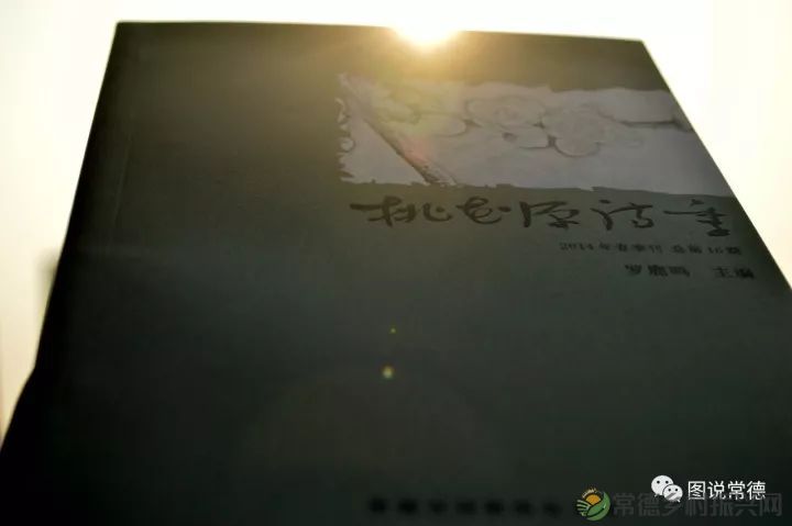 10年前我们一起走过的桃花源(图34) 图片