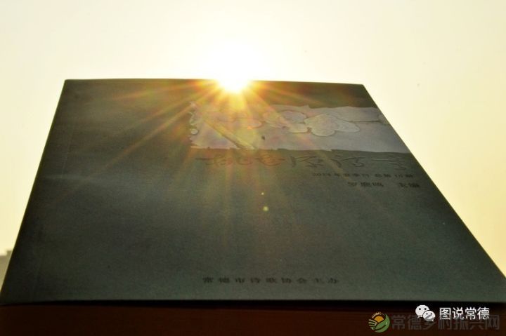 10年前我们一起走过的桃花源(图33) 图片