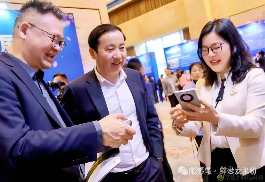 德商聚力 筑梦沅澧——“鲜滋友”常德米粉参展2025年德商恳谈会(图7) 图片