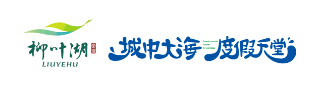 抢先看!柳叶湖沙滩音乐节5月3日官宣阵容(图1) 图片