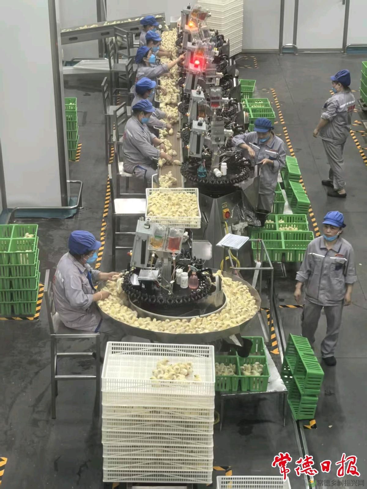 常德市畜牧水产事务中心开展家禽孵化场检疫工作调研(图2)