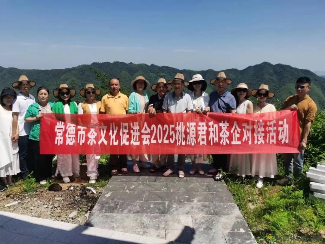 常德市茶文化促进会2025茶企对接活动走进桃源君和茶业(图15)