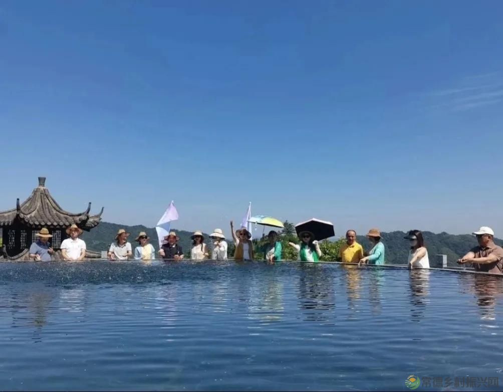 常德市茶文化促进会2025茶企对接活动走进桃源君和茶业(图18)