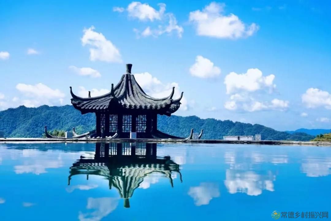 常德市茶文化促进会2025茶企对接活动走进桃源君和茶业(图21)