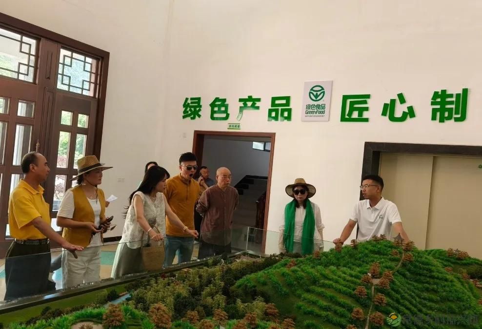 常德市茶文化促进会2025茶企对接活动走进桃源君和茶业(图25)