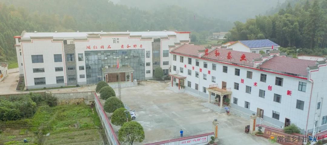 常德市茶文化促进会2025茶企对接活动走进桃源君和茶业(图29)