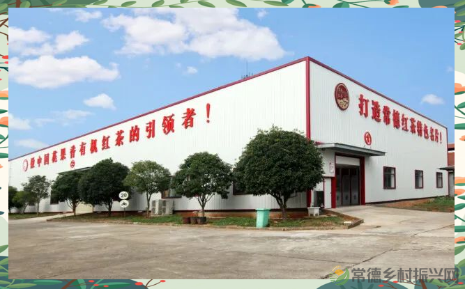 湖南红茶中的佼佼者——武陵红：茶韵天香引领行业新风尚(图2)