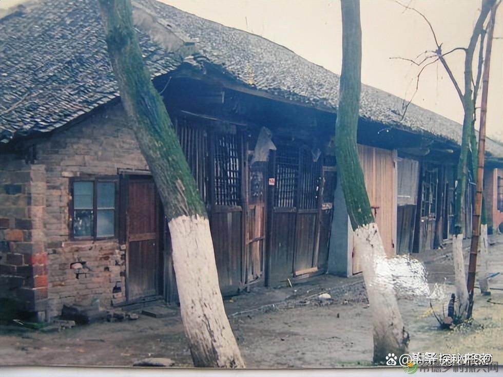 图说昔日的湖南汉寿,照片中有你熟悉的地方吗?(图10) 图说昔日的湖南汉寿,照片中有你熟悉的地方吗?(图10)