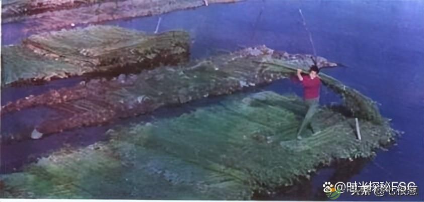 图说昔日的湖南汉寿,照片中有你熟悉的地方吗?(图37) 图说昔日的湖南汉寿,照片中有你熟悉的地方吗?(图37)