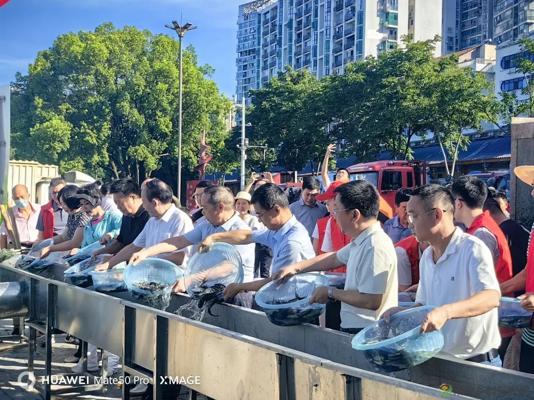 常德市举办2025年鱼类人工增殖放流活动(图1) 图片