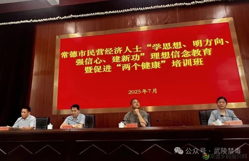 常德市武陵区社会禁毒协会会长姚进分享乡村振兴经验