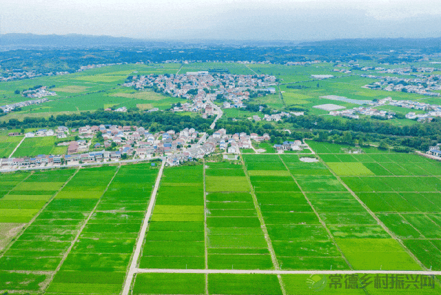 省国土空间规划委员会2025年第一次全体会议召开 毛伟明讲话(图13) 图片