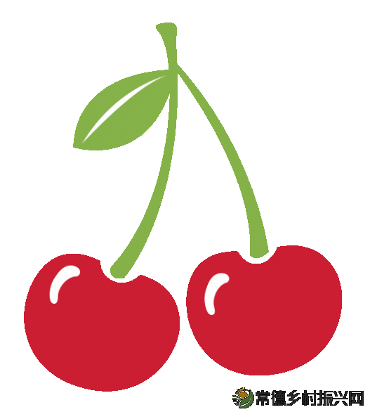 【先锋的力量】我愿意做那个撑伞的人,陪孩子们走过青春的雨季——记湖南省优秀禁毒讲师廖欣杏(图2) 图片