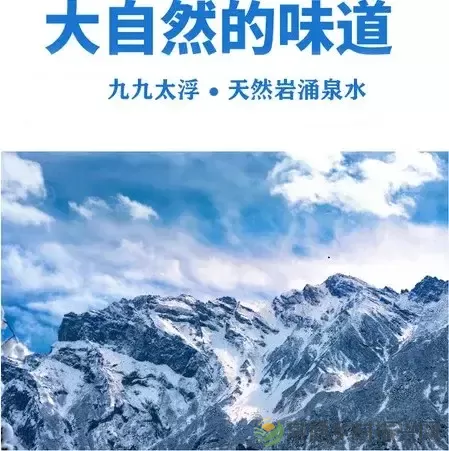 九九太浮——开启本土知名品牌岩涌泉水的典范标志,湖南人的骄傲(图5) 九九太浮——开启本土知名品牌岩涌泉水的典范标志,湖南人的骄傲(图5)
