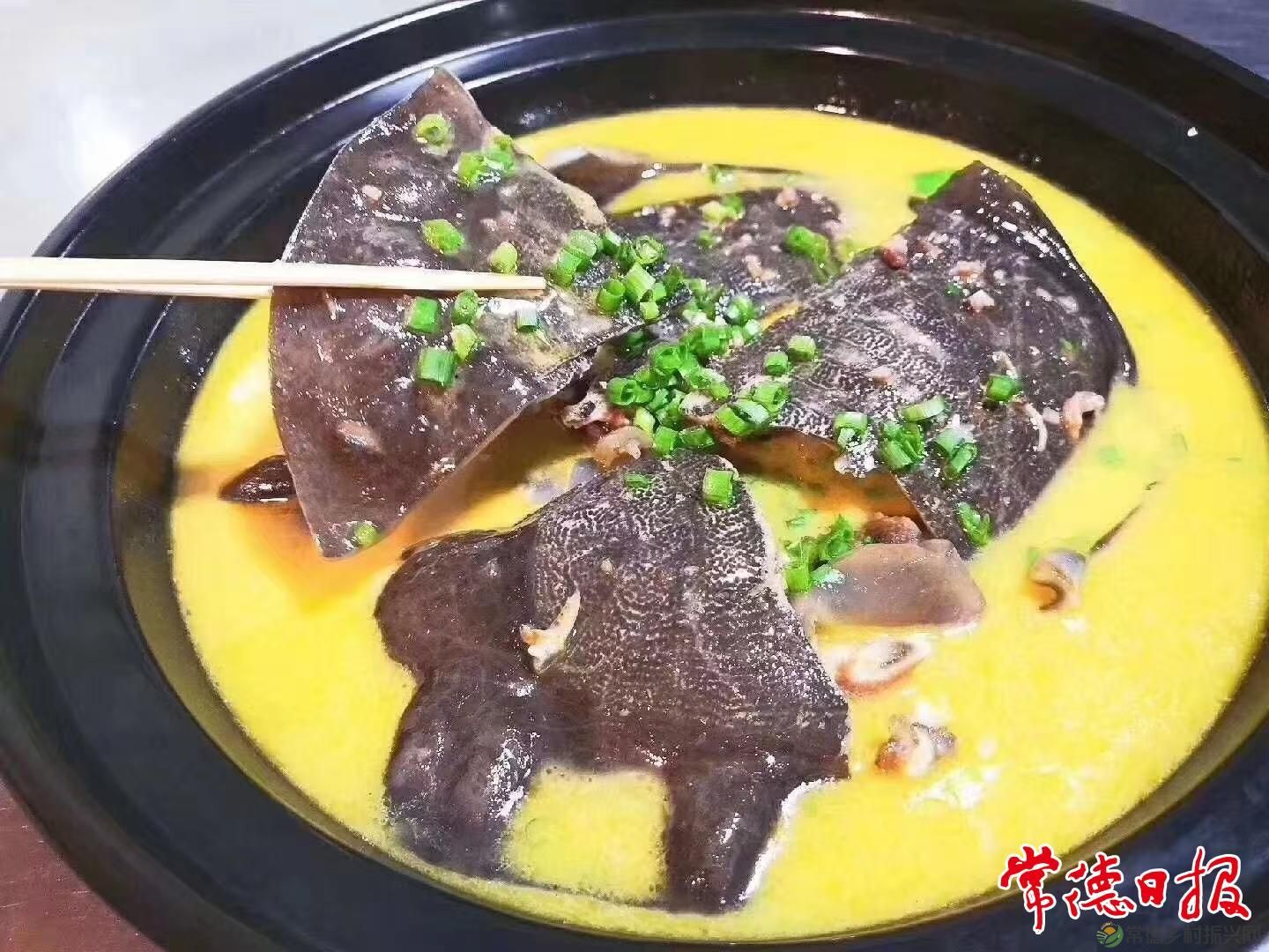 生态中华鳖 “爬”出致富路(图3) 生态中华鳖 “爬”出致富路(图3)