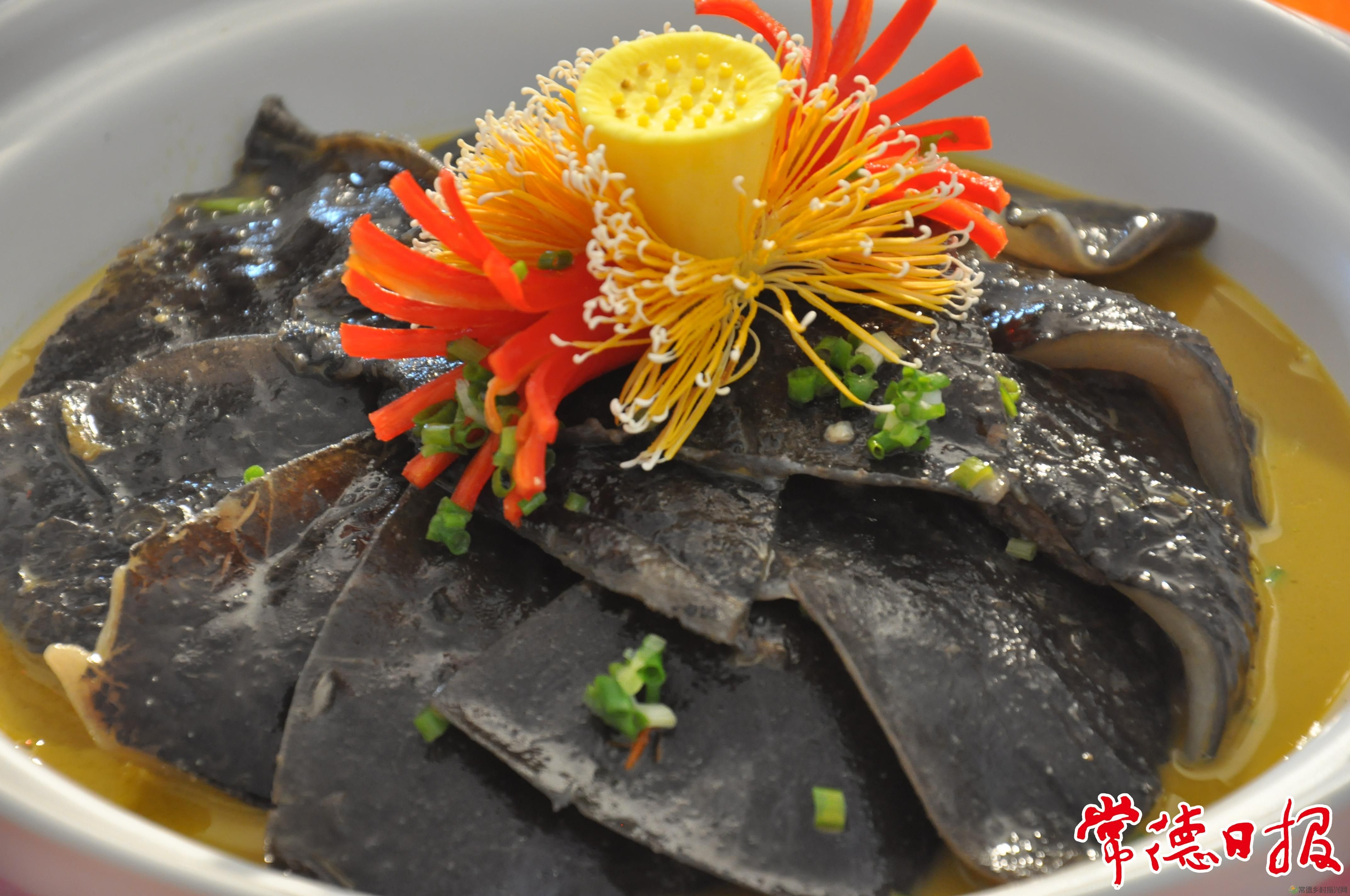 生态中华鳖 “爬”出致富路(图4) 生态中华鳖 “爬”出致富路(图4)