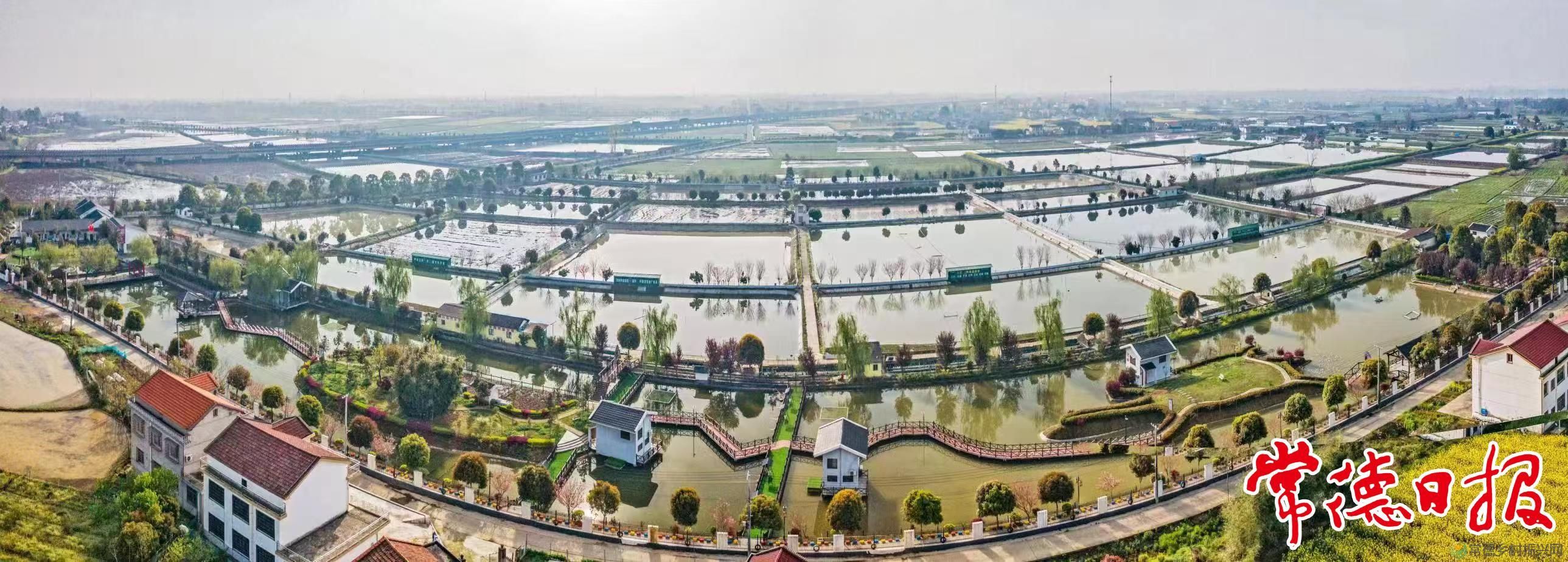 生态中华鳖 “爬”出致富路(图6) 生态中华鳖 “爬”出致富路(图6)