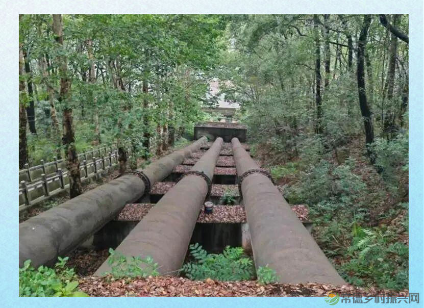 青山精神之旅:历史与传承的探寻(图2) 青山精神之旅:历史与传承的探寻(图2)