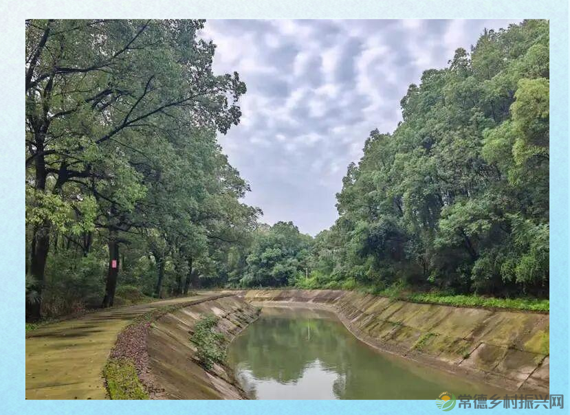 青山精神之旅:历史与传承的探寻(图3) 青山精神之旅:历史与传承的探寻(图3)