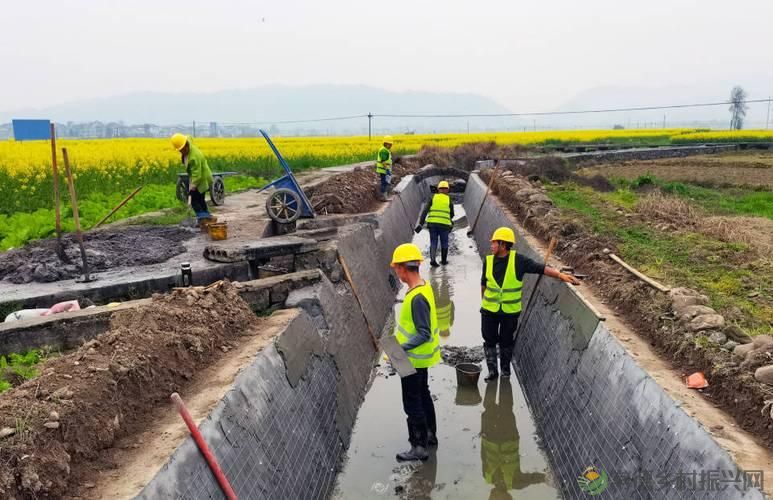 青山精神之旅:历史与传承的探寻(图6) 青山精神之旅:历史与传承的探寻(图6)