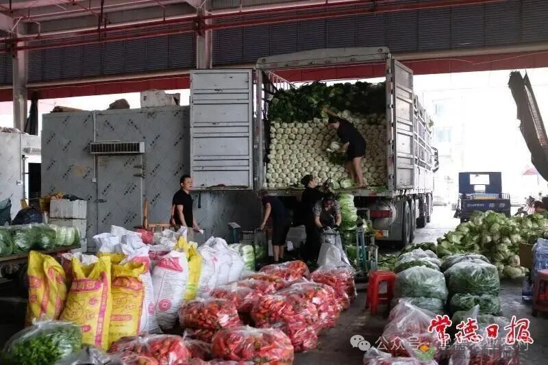 蔬菜日均供应量达4500吨 常德国际农产品交易中心国庆中秋假期“货足价优”(图2) 土豆2.jpg